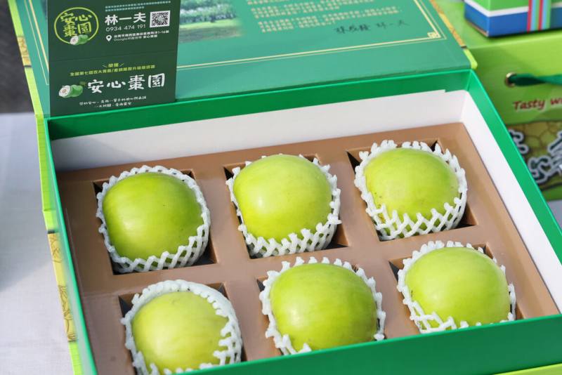 台南市楠西區生產的蜜棗首度外銷新加坡，首批鮮果12日正式出貨，青農林一夫所經營的棗園為主要生產來源。（台南市政府提供）