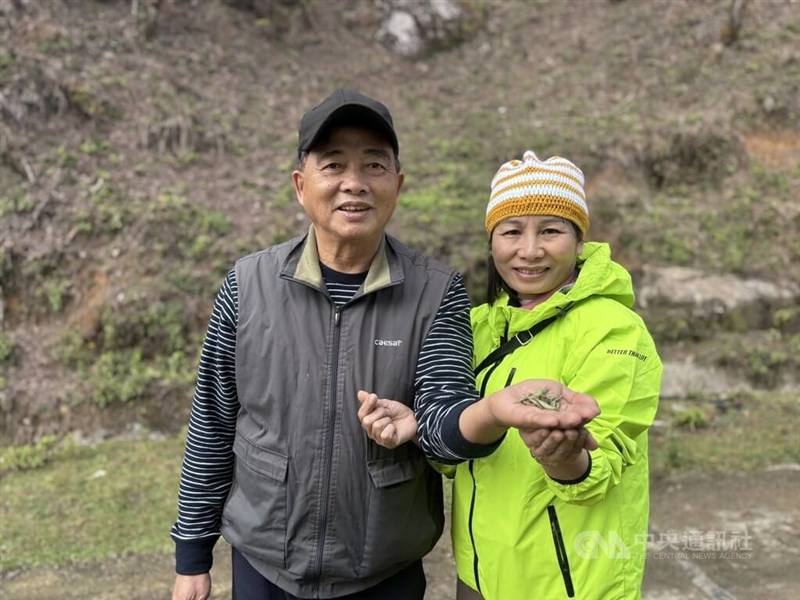 Taiwanese tea maker Hsu Kuo-an (left) and his wife. CNA file photo