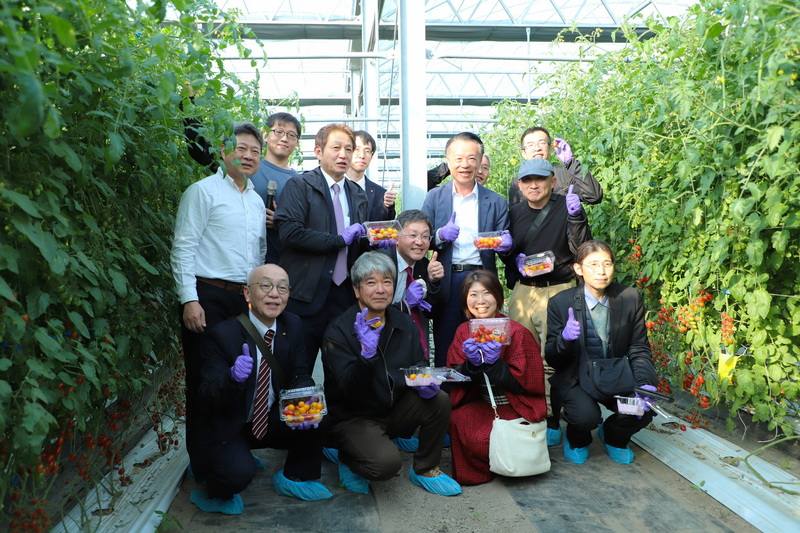 日本山口縣考察團訪台，赴嘉義展開3天農業技術交流，14日團員參訪太保市溫室「一蕃賞」，與嘉義縣長翁章梁（2排右2）一同體驗採摘小番茄