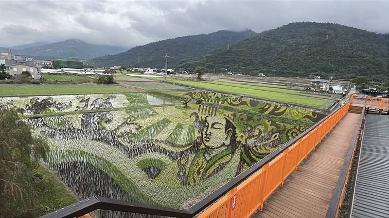 隨著稻苗茁壯台東關山鎮天后邸家彩繪稻田漸立體|觀光| 僑新聞OCAC NEWS