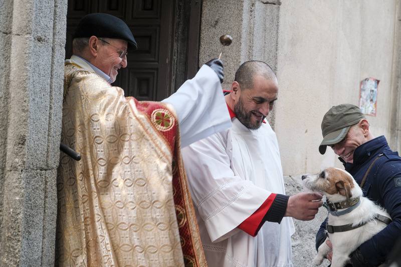 西班牙1月17日慶祝寵物專屬的天主教節日「聖安東節」，由於聖安東是「動物的守護聖人」，首都馬德里聖安東教堂按照傳統舉行「動物祈福儀式」，神父們從早到晚不停為大排長龍的毛孩子灑聖水賜福。