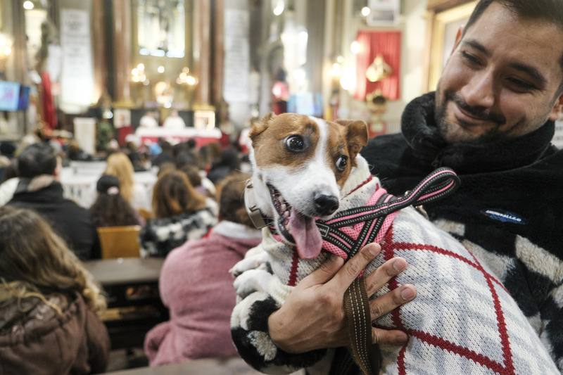 西班牙首都馬德里聖安東教堂為慶祝1月17日「聖安東節」，一連舉辦5場「寵物友善彌撒」，讓毛小孩陪主人一同上教堂聽道、領受恩寵，彌撒期間汪星人吠叫聲此起彼落，引起信徒莞爾。