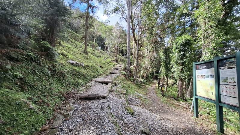 玉山國家公園管理處24日至2月8日在東部園區南安遊客中心至瓦拉米步道佳心地區（圖）辦尋寶活動，邀遊客感受「八通關越道路」人文歷史、欣賞花蓮縣南安地區田園風光並認識野生動植物。（玉山國家公園管理處提供）