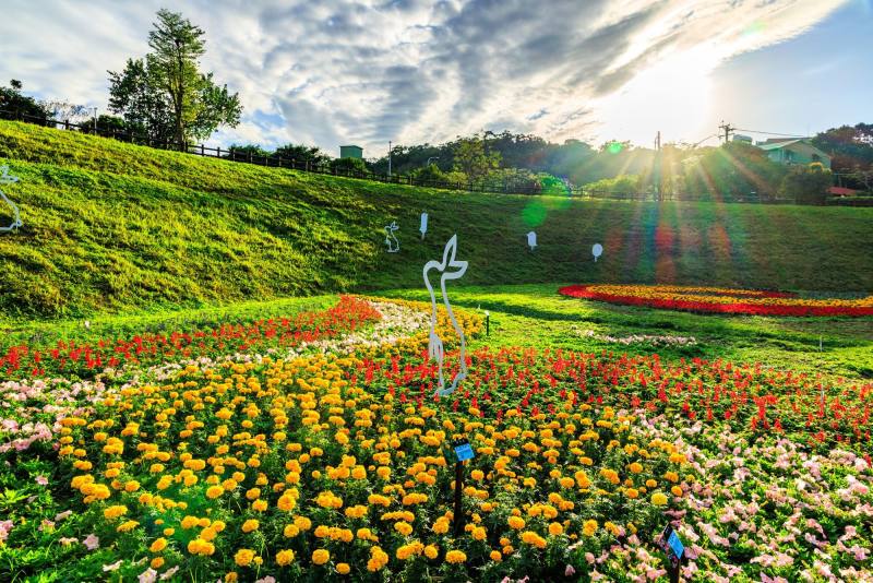 Layers of vibrant colors woven together in the Dagou Creek sea of Flowers