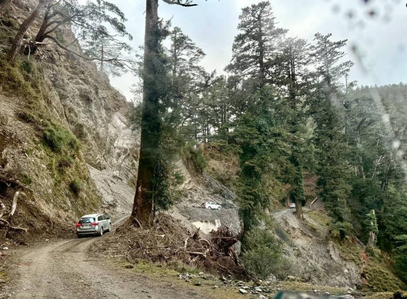 新東西線的施工與維護，須仰賴丹大林道及孫海橋等既設道路，台電與林保署合作，成功整合道路與電網維護工作。