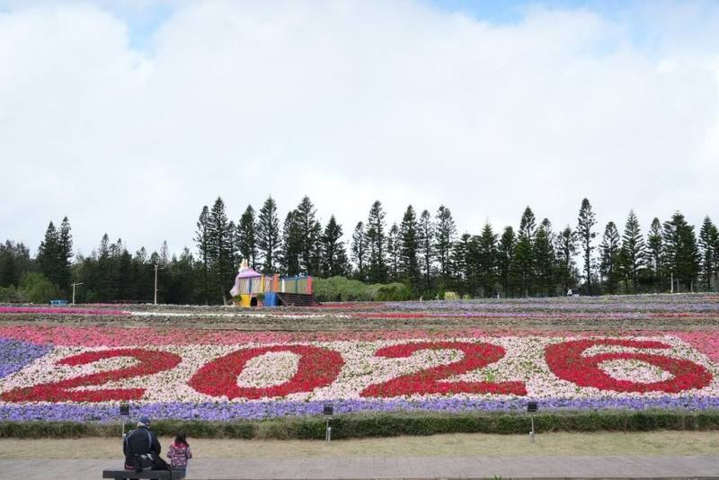 澎湖冬日花海遊樂園「2026花現新澎友」24日在澎湖休憩園區正式對外開放，繽紛絢麗的壯麗花海將一直開放至3月3日元宵節過後，歡迎民眾把握機會到訪走春。（澎湖縣政府提供）