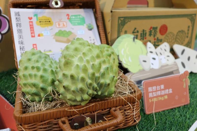 台東鳳梨釋迦外銷受阻，農糧署24日指出，已規劃海外拓銷獎勵，也將啟動擴大內需、多元加工等產銷穩定措施，同時呼籲業者避免過度仰賴單一市場。（農糧署提供）