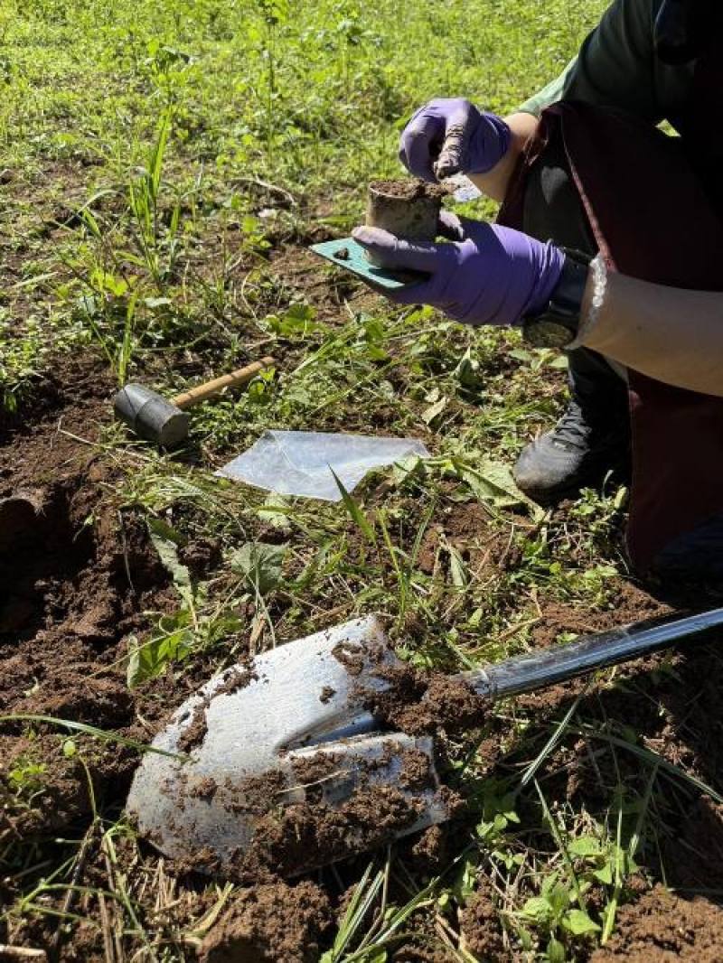 綠肥種植區域土壤取樣，以長期追蹤土壤碳儲存量。(農業部種苗改良繁殖場提供)