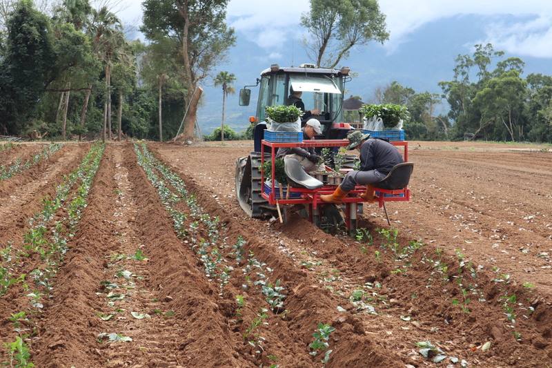 來自桃園的茶農林和春因機械代耕與花蓮結緣，如今在瑞穗舞鶴地區近百公頃茶園採用他的工法。他要扭轉大規模機械化會掠奪自然資源的刻板印象，而是藉由機器去維護環境，實踐生態永續。