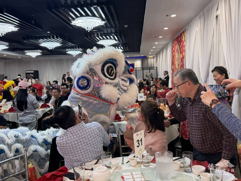 觀眾與舞獅熱情互動，紅包餵獅場面熱鬧