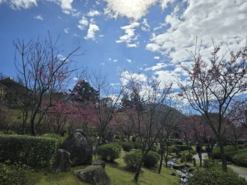 台北市工務局公園路燈工程管理處5日舉辦陽明山花季揭幕活動，邀請民眾走入山林感受春天甦醒。（公園處提供）