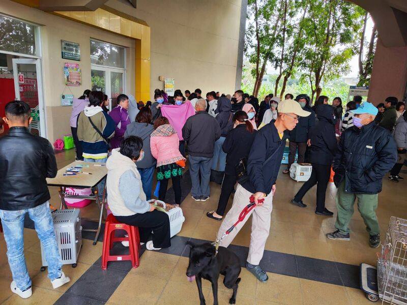 高雄市2026年首場偏遠地區巡迴犬貓絕育三合一活動，8日在阿蓮區舉行，共為168隻犬貓施打狂犬病疫苗、115隻打晶片辦寵物登記，及97隻犬貓完成絕育手術。（高雄市動保處提供）