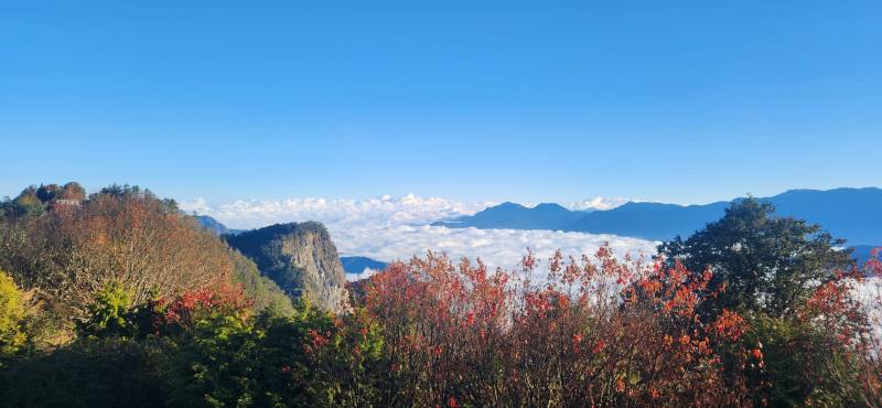小笠原山可眺望雲海及大塔山一角，歡迎民眾多加利用阿里山與高鐵合作聯票至阿里山走春