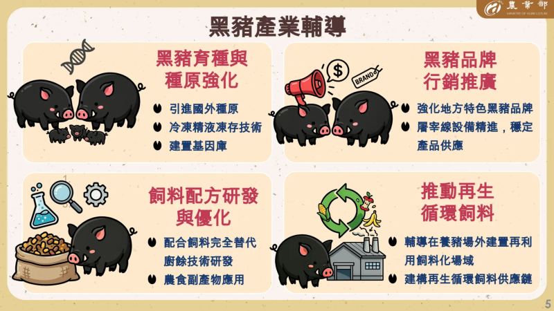 黑豬產業輔導