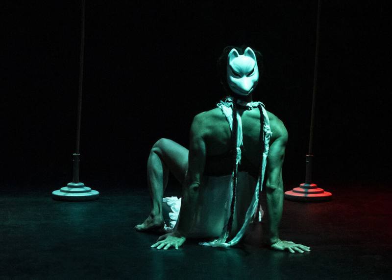 金枝演社劇團首席創作者施冬麟將演出獨腳戲「籠子裡的白狐」，探討當代人的孤獨狀態。（金枝演社提供）