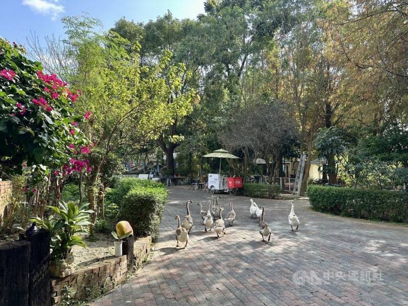 彰化縣大村鄉花樹銀行占地約0.8公頃，創辦人郭俊銀讓民眾免費寄養樹木，園區目前已種植近萬棵樹，期盼打造綠色療癒基地