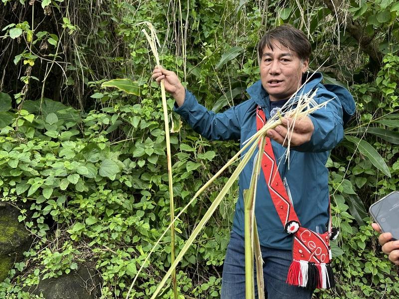 花蓮石梯坪漁港蘊藏豐富海洋與濱海生態資源，是觀光與生態教育好處所。港口社區發展協會常務理事陳杰敏（圖）表示，海濱植物以林投、黃槿、草海桐最多，具防風定砂功能。