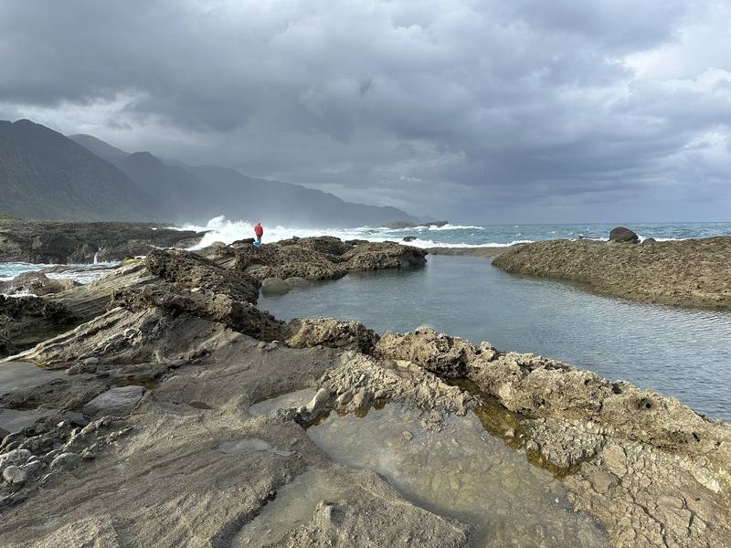 花蓮石梯坪是花東海岸少數幾處形成珊瑚礁海岸，蘊藏豐富生態，其中包含珍貴的「海中玫瑰」硨磲貝，當地漁民並串聯相關單位成立復育試驗基地。