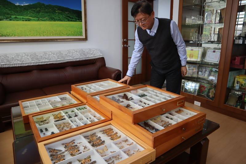 花蓮區農業改良場長楊大吉（圖）是昆蟲博士，過去擔任研究員時耗費10多年製作大量昆蟲標本，他受訪時展示收藏較完好的部分標本，說明除作為研究外，也供生命教育、環境教育之用。