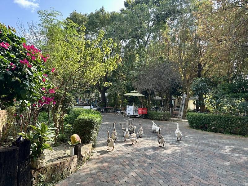 A scene of the Bank of Flowers and Trees in Changhua County's Dacun Township. CNA photo Feb. 15, 2026