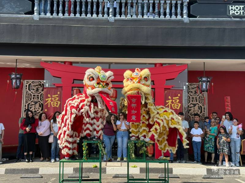 臺灣民俗陣頭——北獅陣震撼登場，鼓聲鏗鏘、獅影翻騰，為活動掀起高潮。