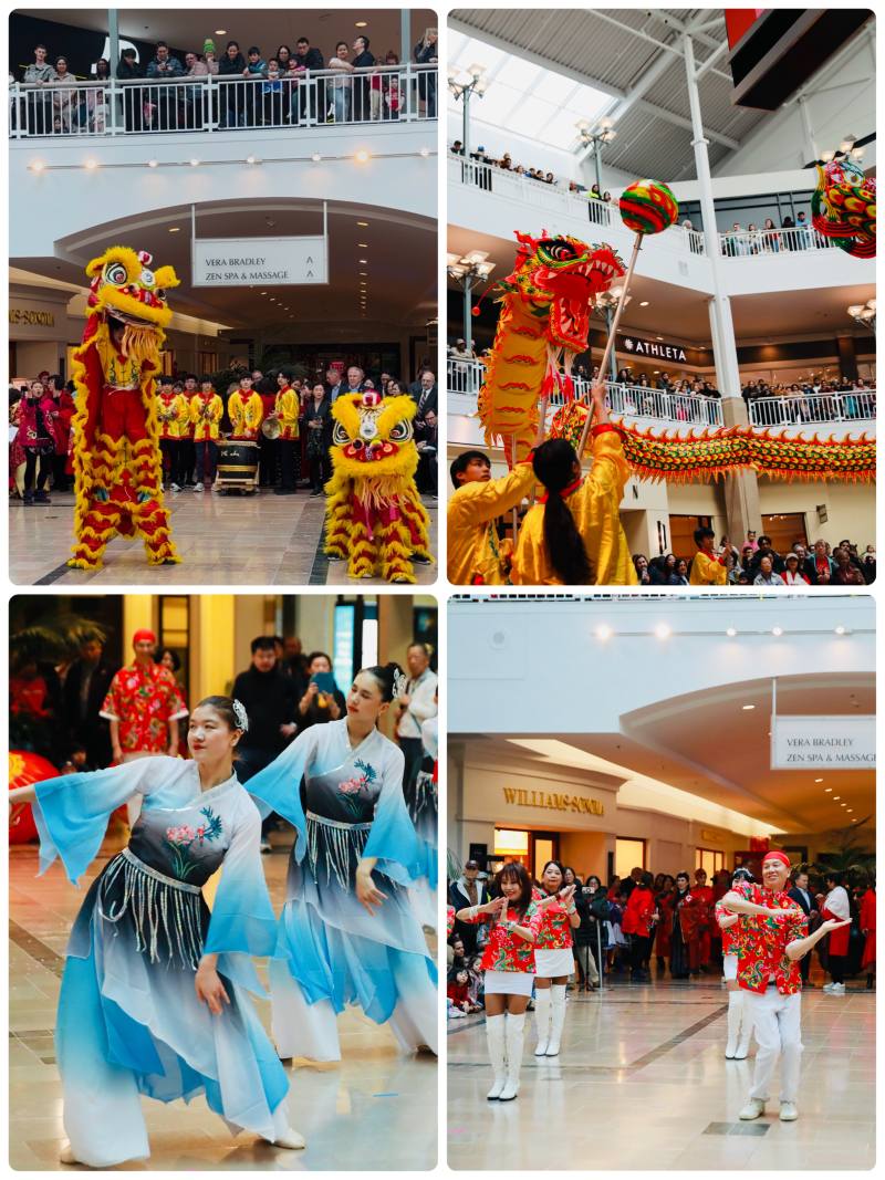 北極星青少年義工、梅山中校、瑞谷中校及夢幻貓咪團隊輪番帶來舞龍舞獅與舞蹈演出，節奏明快、熱力十足，讓現場年味瞬間升溫