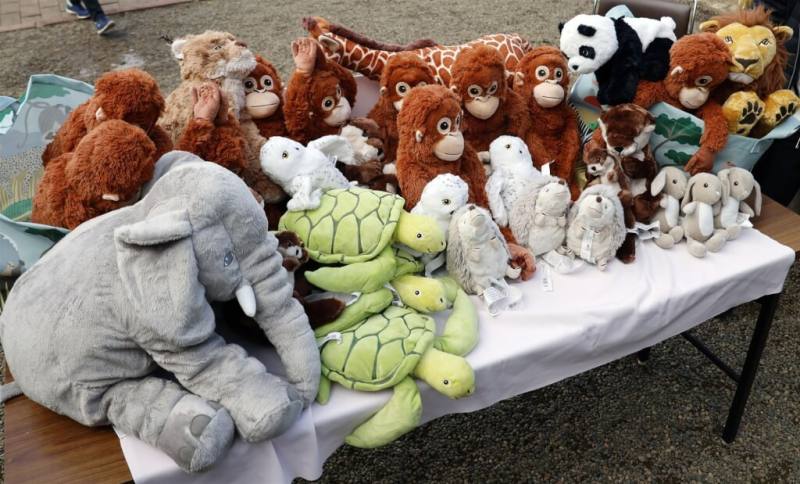IKEA日前準備了數十隻動物玩偶，贈送給照顧Panchi君的市川市動植物園。（共同社）