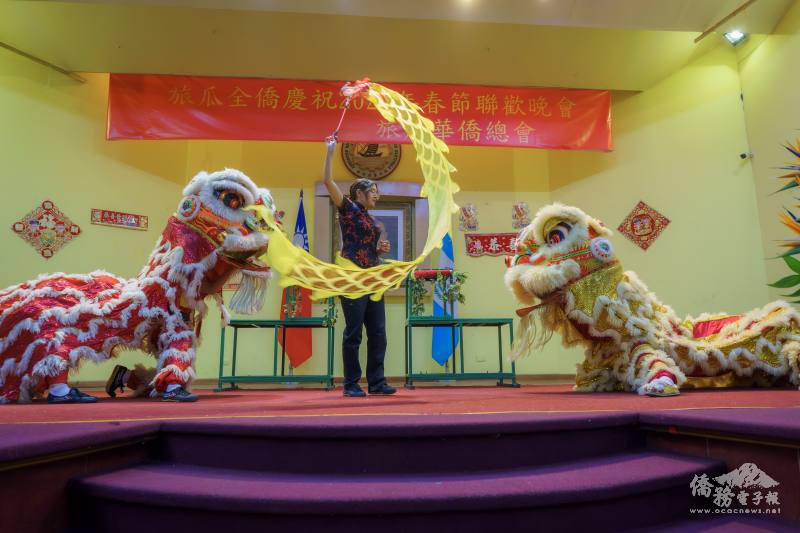 祥獅獻瑞象徵新年招財納福萬事順遂，熱鬧氛圍感染全場