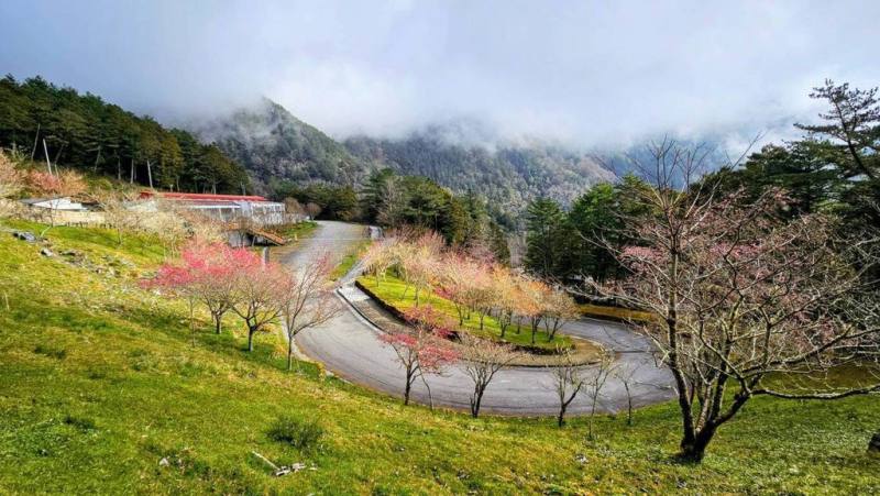 台東知名旅遊景點知本國家森林遊樂區和嘉明湖國家步道，今年春節入園和山友比過去2年增加，圖為嘉明湖國家步道入口向陽遊樂區。（林保署台東分署提供）