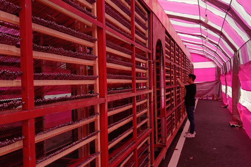 台南鹽水蜂炮活動將於3月2日早上啟炮，展開2天2夜神轎平安遶境，居民製作的蜂炮城進入最後整備階段。中央社記者楊思瑞攝