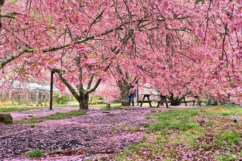 Photo courtesy of Wuling Farm