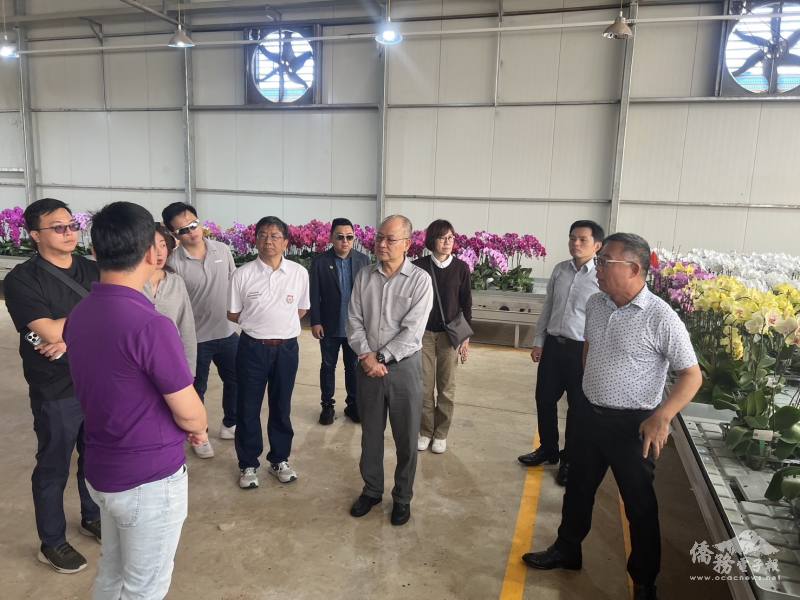 活動安排企業參訪前往大勒知名阿波羅蘭花公司