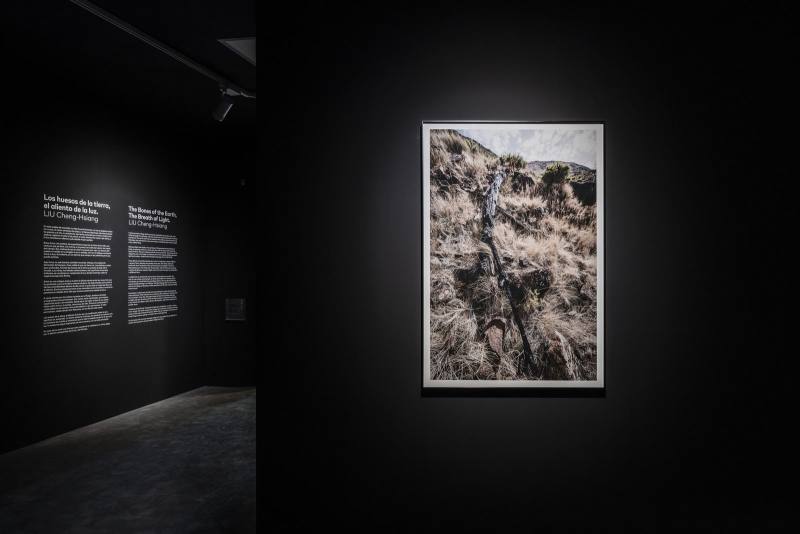 《Still Light》（劉呈祥提供）