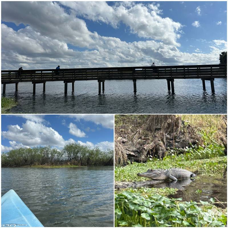 戶外活動組釣魚划船賞水鳥與鱷魚