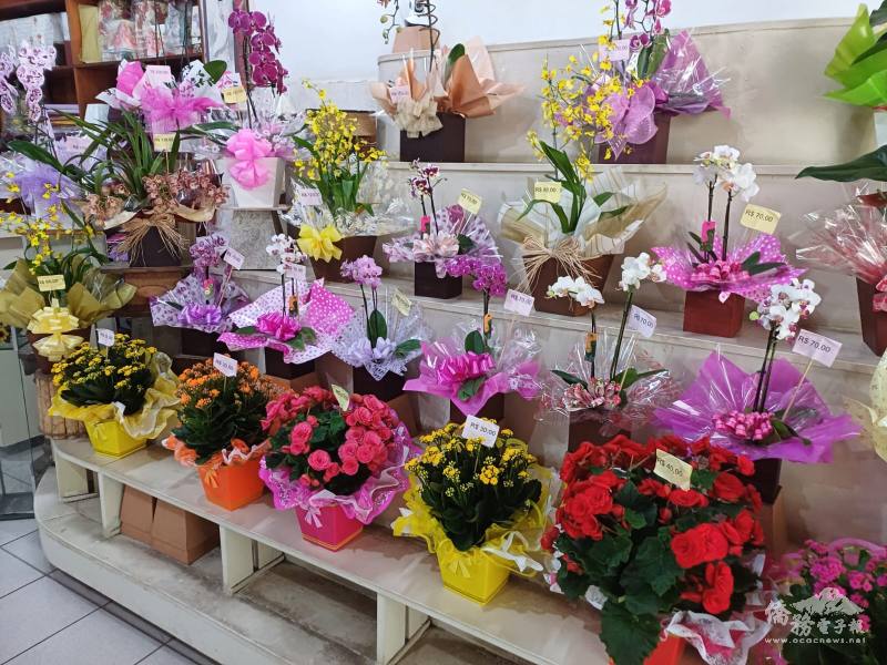 TUTI人造花藝店中的蝴蝶蘭