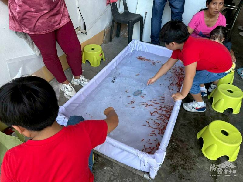 小朋友在夜市攤位體驗撈金魚遊戲，現場充滿歡笑與熱鬧氣氛