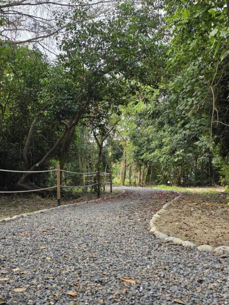屏東萬丹森林公園15日啟用，園區內規劃多條親近自然步行動線，包括環繞公園綠意「環園步道」，清晨或傍晚都能隨光影變化感受森林靜謐氛圍。（屏東縣政府工務處提供）