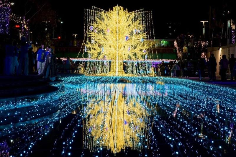 新北市2026中港大排光雕展「星耀中港 夢幻星河」光雕秀日前登場，廣受民眾好評。4大主題展區中必拍打卡亮點，為高達7公尺的立體發光裝置「星耀之樹」。（水利局提供）