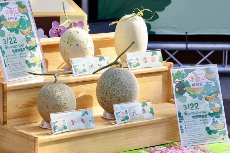 台南洋香瓜進入產季，「2026洋香瓜好時節」系列活動22日在台南後壁區登場。（台南市政府提供）