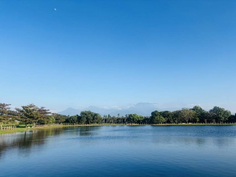 屏東縣政府系統性規劃草鴞棲地復育，已選定海豐、圳寮濕地作為保護示範區，將進行植栽復育與環境改善，逐步打造適合草鴞棲息與覓食生態環境。（屏東縣政府傳播暨國際事務處提供）