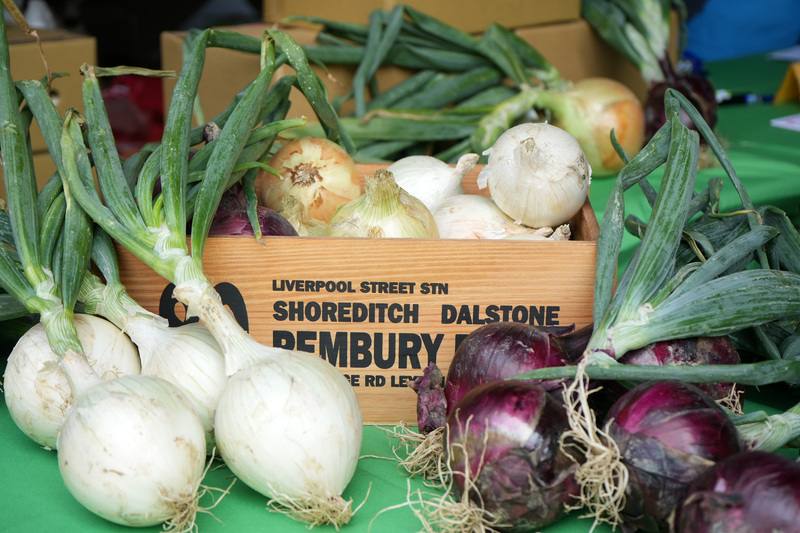 屏東恆春陽光充足且有落山風吹拂，種植洋蔥氣候得天獨厚，收成洋蔥不僅香甜，外皮晶亮如蘋果且耐儲存。2026年迄今氣候良好，洋蔥發育狀況佳。