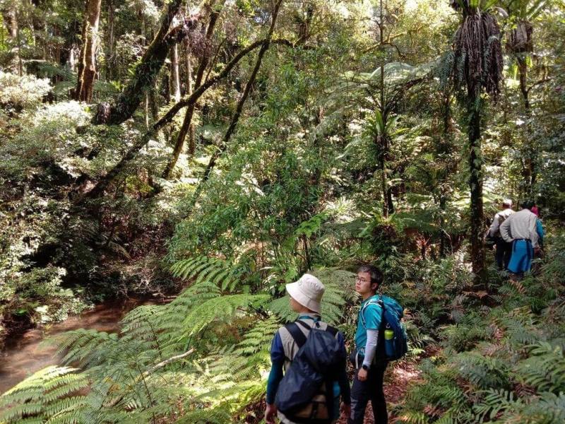 國立中興大學昆蟲系助理教授蕭昀童年受遊戲「寶可夢」啟發，對昆蟲產生興趣，投入昆蟲分類學研究。圖為蕭昀在澳洲留學相關野外調查照片。（中興大學提供）