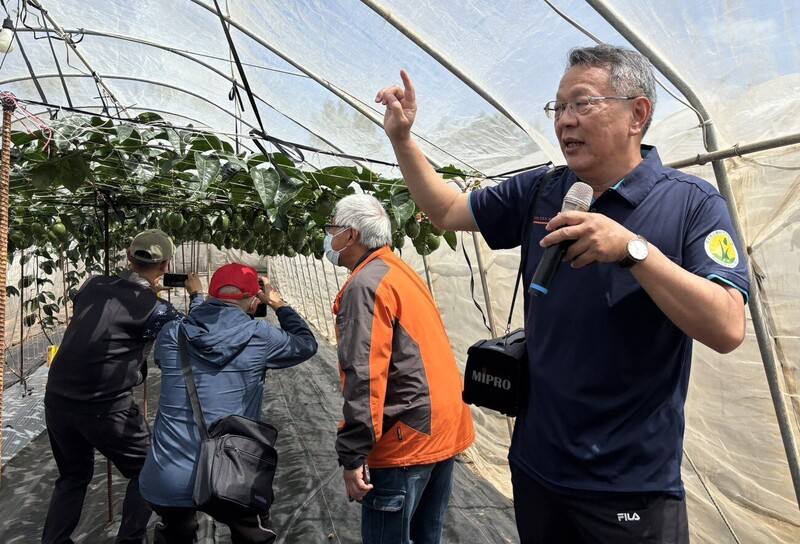 農業部高雄區農業改良場17日向澎湖農民推廣春季百香果栽種技術，除可為澎湖帶來具競爭力的特色作物，亦可提升在地農業多元價值與農民收益。