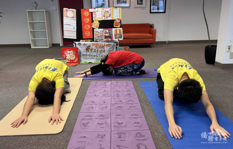 學員進行生肖瑜珈動作體驗