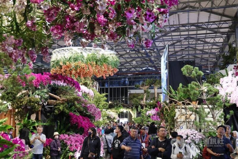 國際蘭展外銷訂單增3%。（中央社檔案照片）