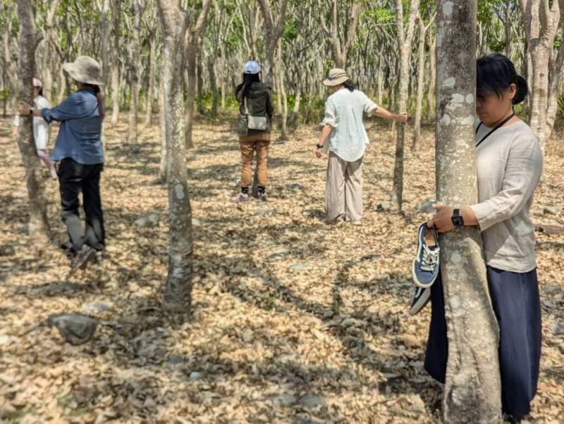 屏東科技大學與林保署屏東分署合作培訓森林療癒師，19日在林後四林平地森林園區舉行「森林療癒在高屏」成果發表會，由準森療師帶領眾人進行5感體驗。（林保署屏東分署提供）