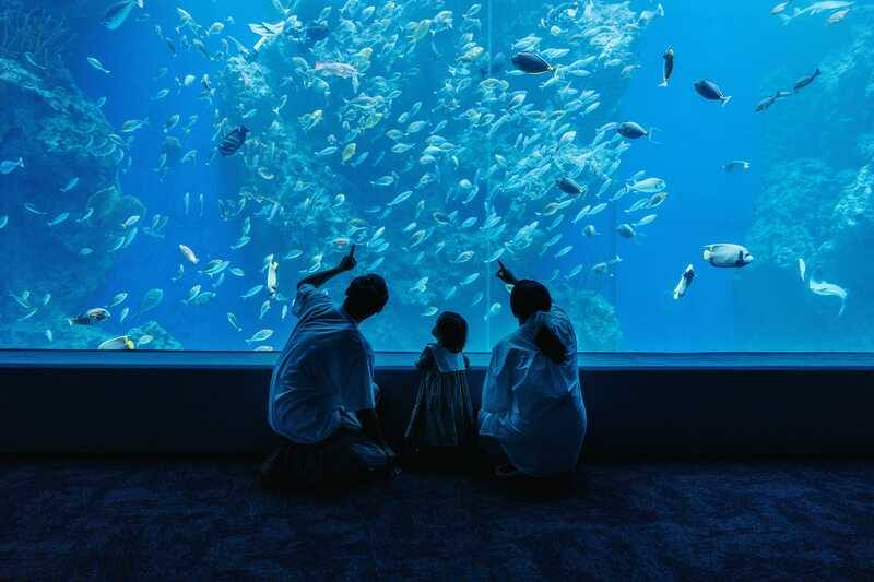 台中市觀光旅遊局攜手台中海洋館推出「圖書募集~捐書免費暢遊台中海洋館」活動，邀請民眾以捐書行動分享閱讀資源。（台中市觀旅局提供）