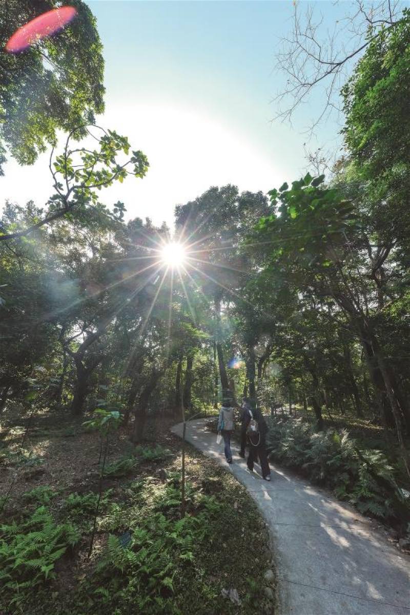 台北植物園小而美，兼具研究、保種與市民散步公園的角色