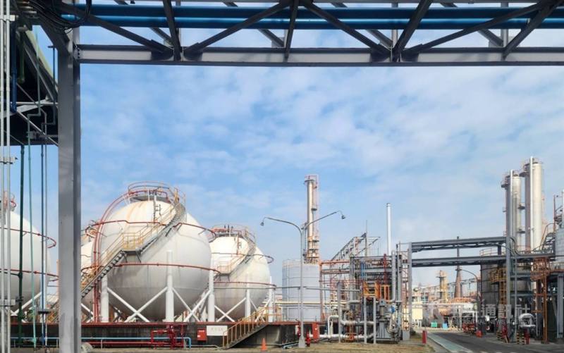 圖為高雄林園石化廠區。（中央社檔案照片）