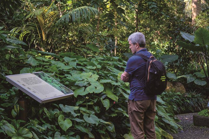 每到一個國家的植物園，不只「看花看草」，而是一種可以看到世界、了解文化演進與安頓自我的方式